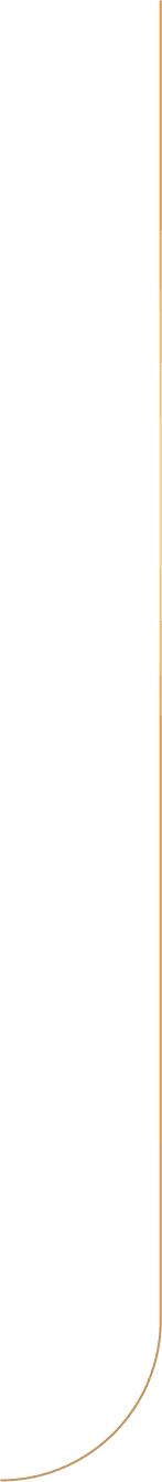 slider line left.png